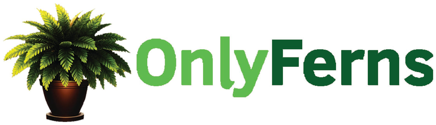 Only Ferns parody coffee mug by Fantasy Tees Plus featuring a potted fern design and green text